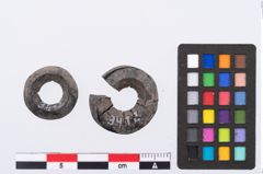 Foto von Sapropelitringperle (NHMW-PRAE-003412)